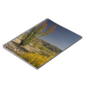 Carnet Ocotillo et senne du désert (Côté gauche)