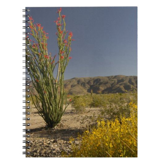 Carnet Ocotillo et senne du désert (Devant)