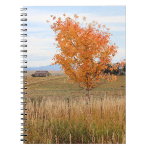 Carnet Octobre lumineux