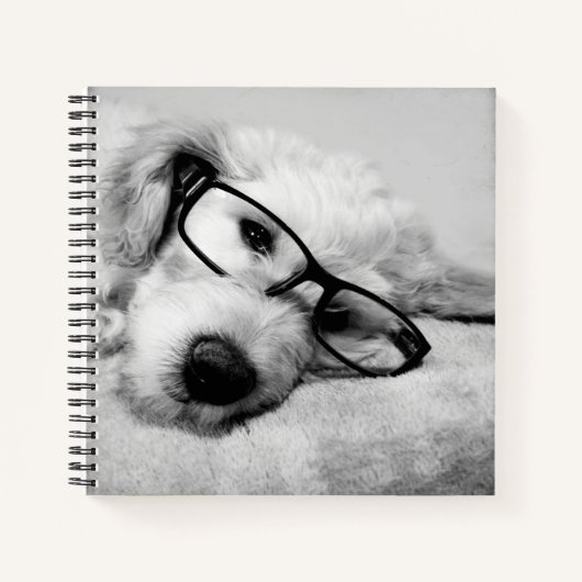 Carnet Odoré Avec Lunettes (Devant)