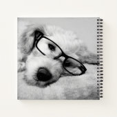 Carnet Odoré Avec Lunettes (Dos)