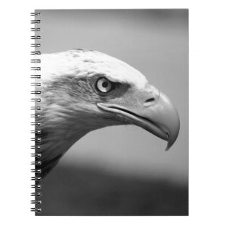 Carnet Oeil d'aigle noir et blanc