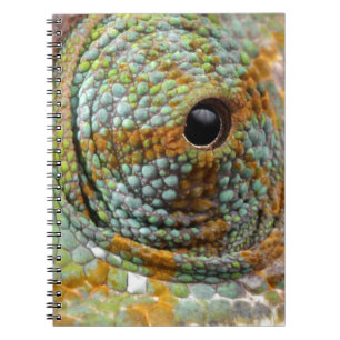 Carnet Œil de caméléon mod animal élégant
