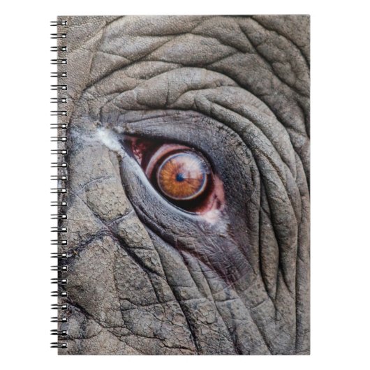 Carnet Oeil d'éléphant animal proche (Devant)