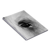 CARNET OEIL DU CHEVAL BLANC (Côté Droit)