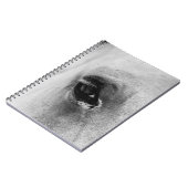 CARNET OEIL DU CHEVAL BLANC (Côté gauche)