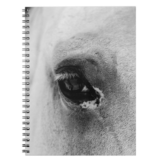 CARNET OEIL DU CHEVAL BLANC (Devant)