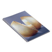 Carnet Oeuf criqué d'âge du bronze (Côté Droit)