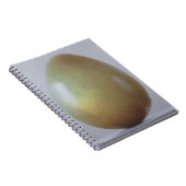 Carnet Oeuf d'âge du bronze (Côté Droit)