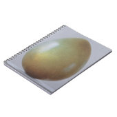 Carnet Oeuf d'âge du bronze (Côté gauche)
