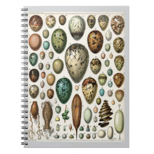 Carnet Oeufs - Adolphe Philippe Millot