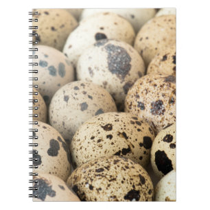 Carnet Oeufs de caille