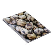 Carnet Oeufs de caille (Côté Droit)