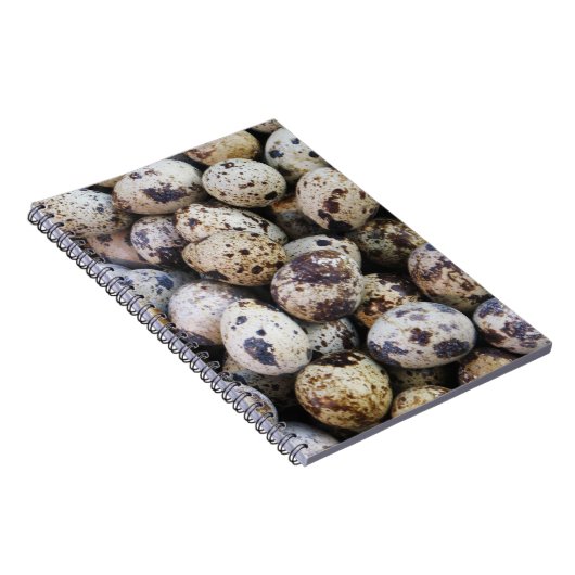 Carnet Oeufs de caille (Côté Droit)