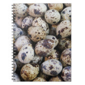 Carnet Oeufs de caille (Devant)