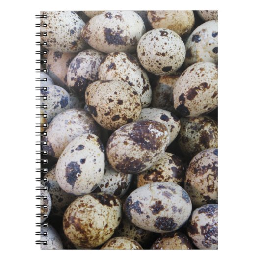 Carnet Oeufs de caille (Devant)