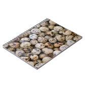 Carnet Oeufs de caille, Huaraz, Cordillera Blanca, Ancash (Côté gauche)