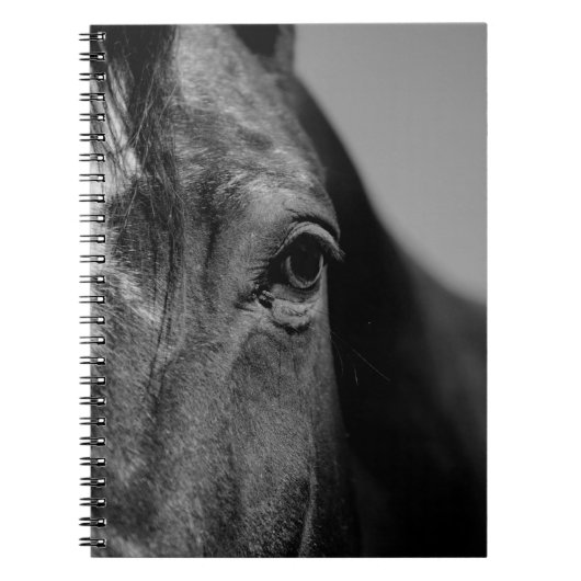 Carnet Œuvre d'art à l'œil de cheval noir et blanc (Devant)