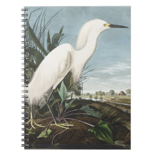 Carnet Œuvre d'art vintage d'Audubon sur l'aigrette neige
