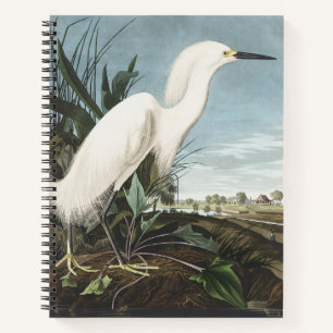 Carnet Œuvre d'art vintage d'oiseau Audubon Héron garde-b