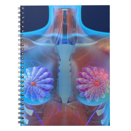 Carnet OEuvre d'ordinateur représentant le cancer du sein (Devant)