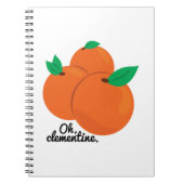 Carnet Oh clémentine (Devant)