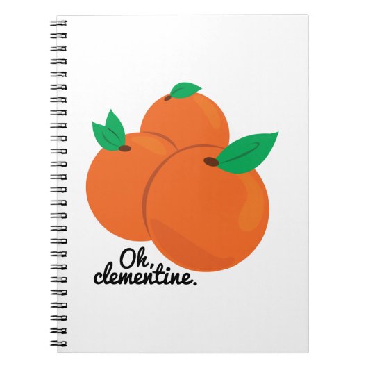 Carnet Oh clémentine (Devant)
