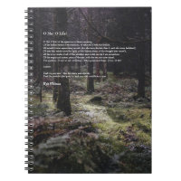 Oh Moi ! Oh la vie ! Walt Whitman Poem Chemin en b