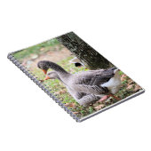 Carnet Oie (Côté Droit)