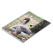 Carnet Oie (Côté gauche)