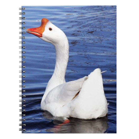 Carnet oie blanche nageant dans l'eau bleue (Devant)