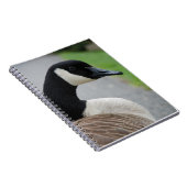 Carnet Oie canadienne (Côté Droit)