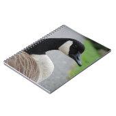 Carnet Oie canadienne (Côté gauche)