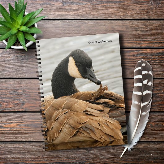 Carnet Oie du Canada sur le lac