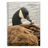 Carnet Oie du Canada sur le lac (Devant)