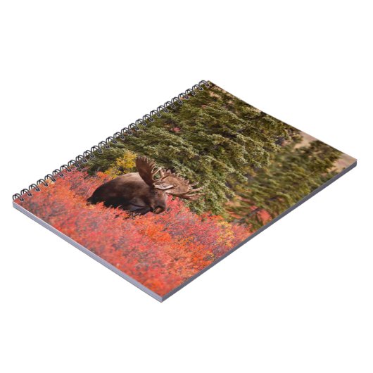 Carnet Oie Taureau debout Dans Red Dwarf Birch (Côté gauche)