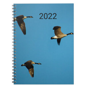 Carnet oies canadiennes en vol