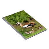 Carnet Oies égyptiennes et poussins (Côté Droit)