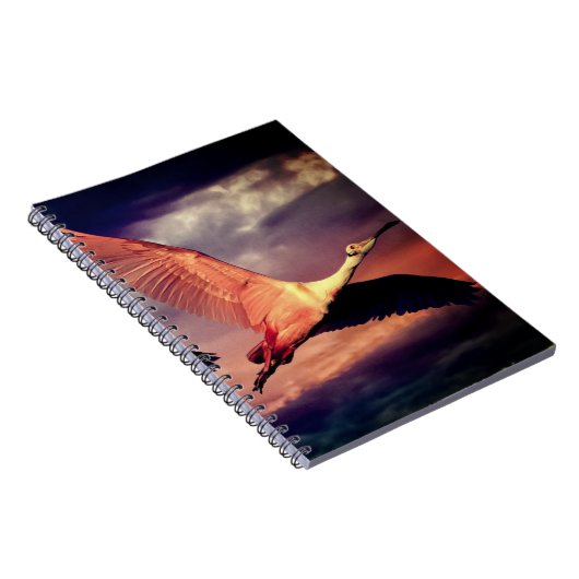 Carnet Oiseau (Côté Droit)