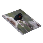 Carnet Oiseau à ailes rouges (Agelaius phoeniceus) (Côté Droit)