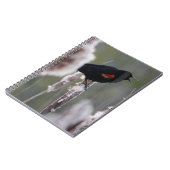 Carnet Oiseau à ailes rouges (Agelaius phoeniceus) (Côté gauche)