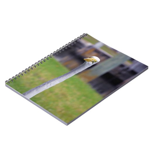 Carnet Oiseau à long cou (Côté gauche)