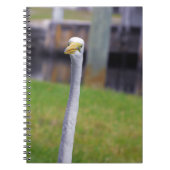 Carnet Oiseau à long cou (Devant)