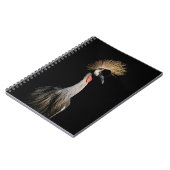 CARNET OISEAU AU BRÉSIL (Côté gauche)