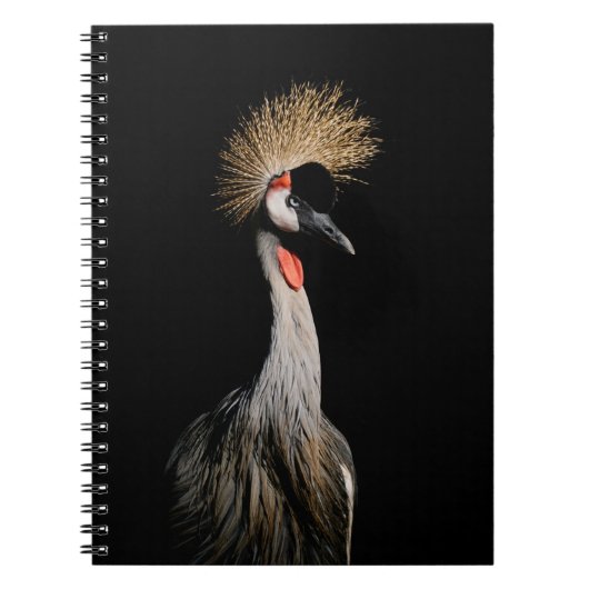 CARNET OISEAU AU BRÉSIL (Devant)
