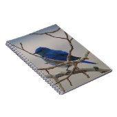 Carnet Oiseau bleu de montagne (Côté Droit)