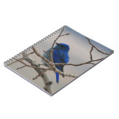 Carnet Oiseau bleu de montagne (Côté gauche)