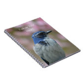 Carnet Oiseau bleu (ma photographie) (Côté Droit)