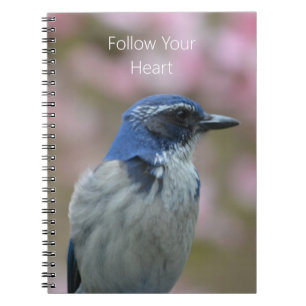 Carnet Oiseau bleu (ma photographie)