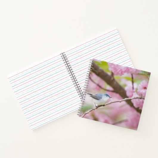 Carnet Oiseau dans l'arbre à fleurs roses (Intérieur)